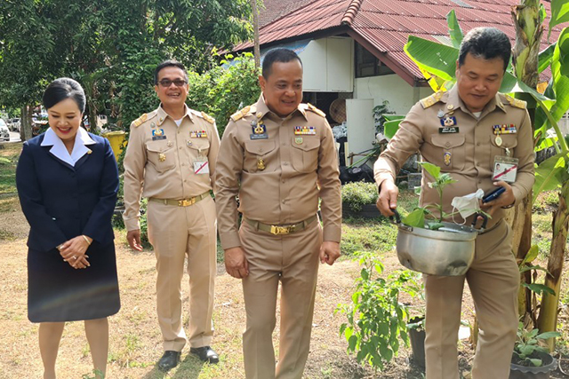 อธิบดี พช. ปลื้ม ผู้ว่านราธิวาส น้อมนำแนวพระราชดำริฯ ปลูกผักสวนครัว รอบ 2 พร้อมรณรงค์เชิญชวนหัวหน้าส่วนราชการ ประชาชน ปลูกพืชผักสวนครัว เลี้ยงปลาเลี้ยงไก่ สร้างความมั่นคงทางอาหาร ลดรายจ่าย เพิ่มรายได้ สู่ชุมชนอย่างยั่งยืน